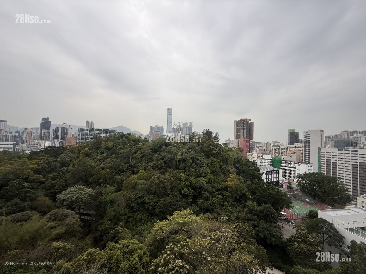 King's Park Hill Rental 3 Bedrooms , 3 Bathrooms 1,230 ft²