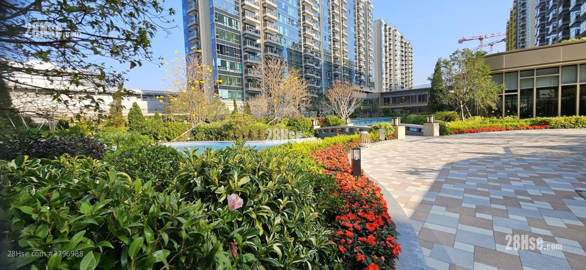 Grand Mayfair  Rental 1 Bedroom , 1 Bathroom 384 ft²