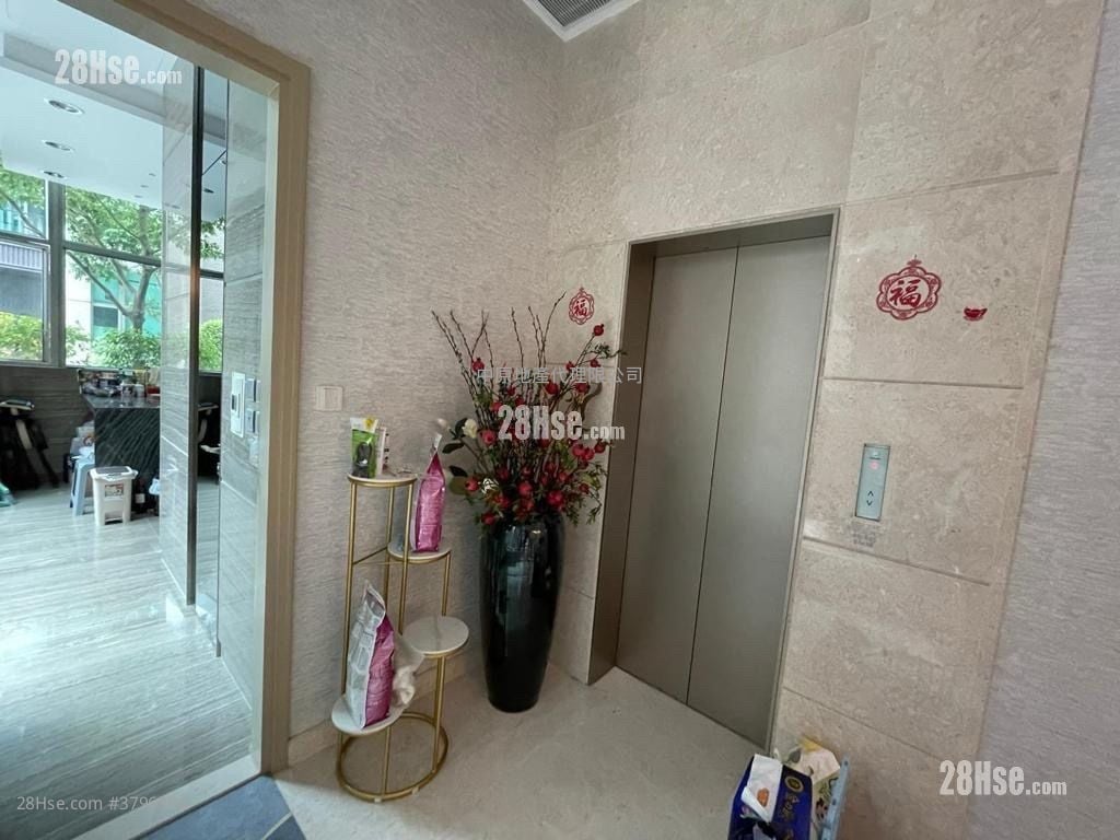 柏峦第一期 租盘 5+ 房 3,852 平方尺