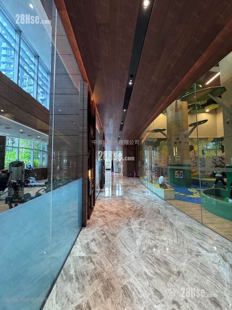 Aurora Rental 217 ft²