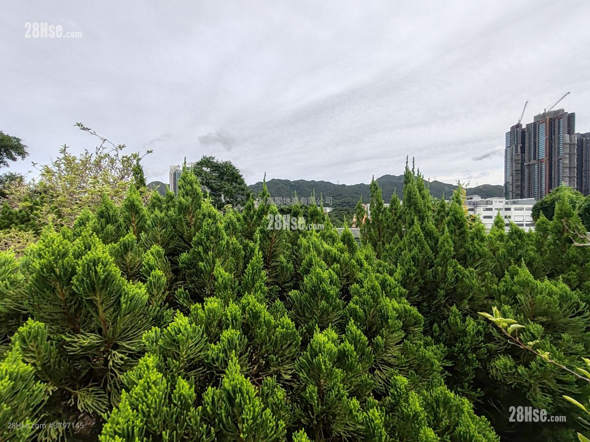 The Great Hill Sell 4 Bedrooms , 4 Bathrooms 3,197 ft²