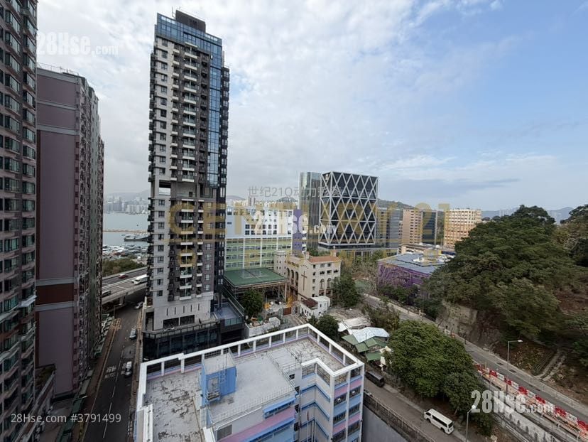 远晴 租盘 开放式间隔 , 1 浴室 275 平方尺