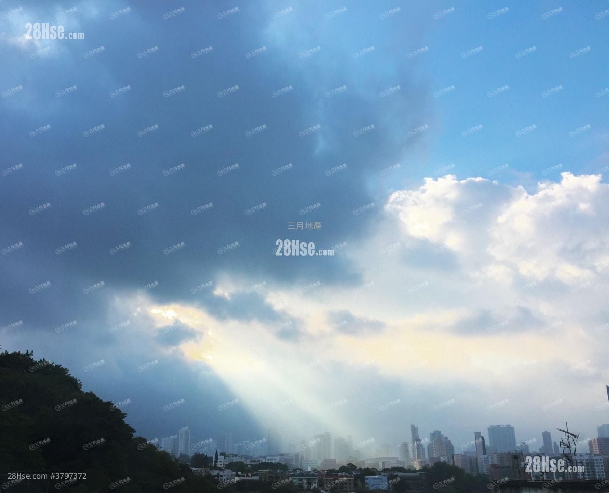 中正大厦 售盘 1 房 , 1 浴室 292 平方尺