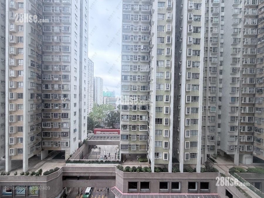 粉岭中心 售盘 1 房 , 1 浴室 368 平方尺