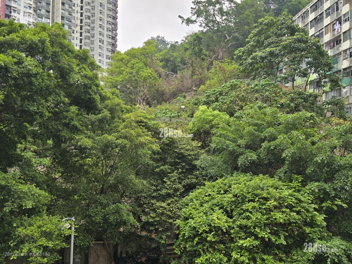 Sincere Western House Sell 2 Bedrooms , 1 Bathroom 476 ft²