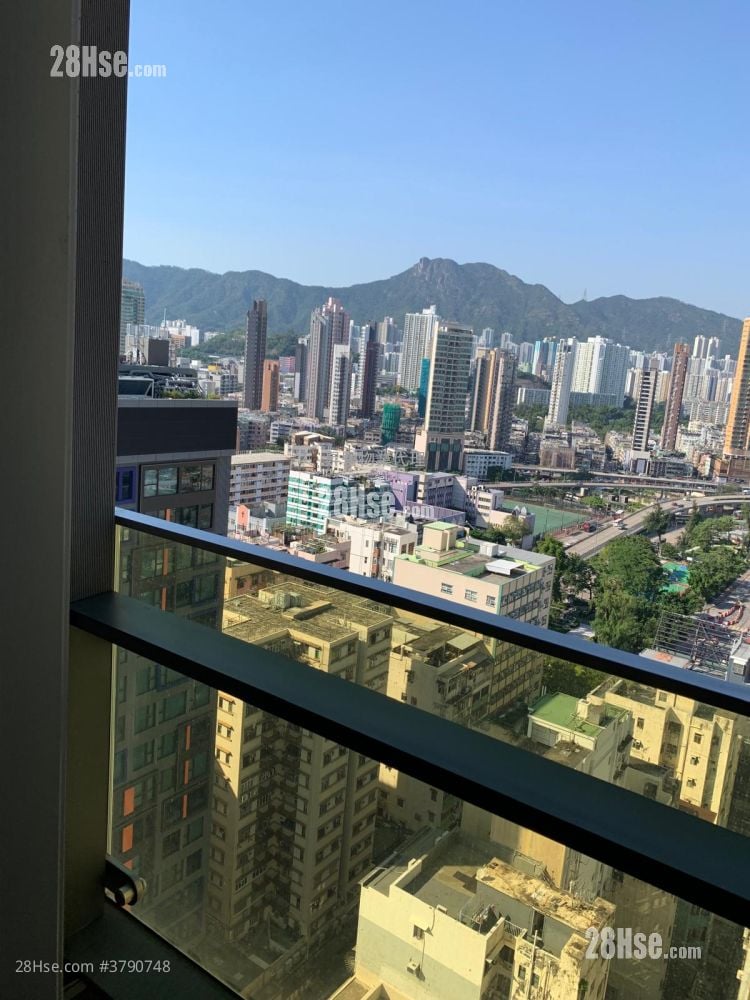 喜点 租盘 开放式间隔 , 1 浴室 250 平方尺