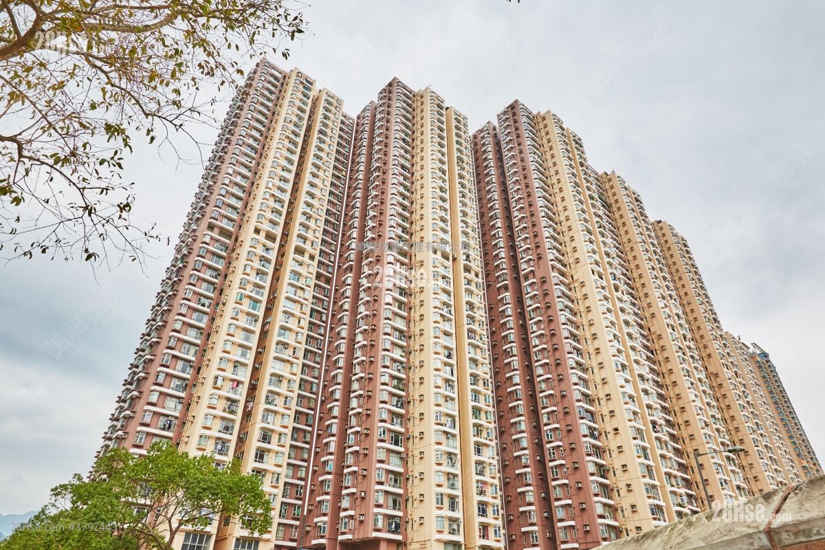 银禧花园 租盘 2 房 , 1 浴室 498 平方尺