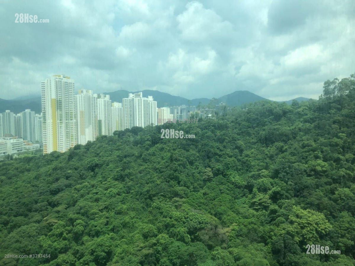 Castello Sell 2 Bedrooms , 1 Bathroom 547 ft²