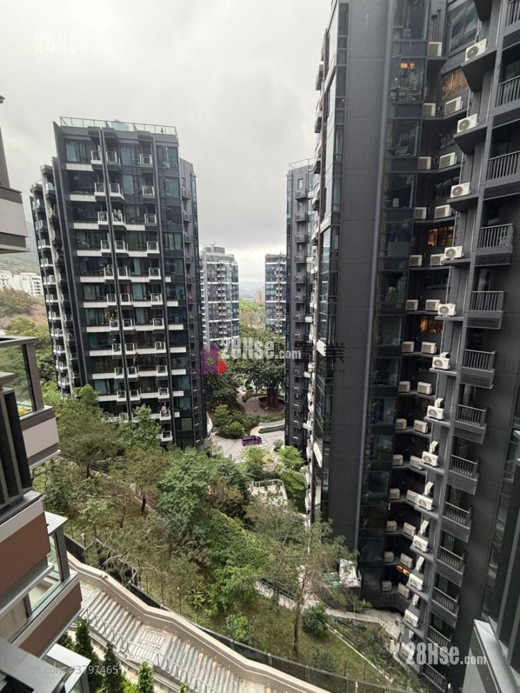 Gold Coast Bay Rental Studio , 1 Bathroom 208 ft²