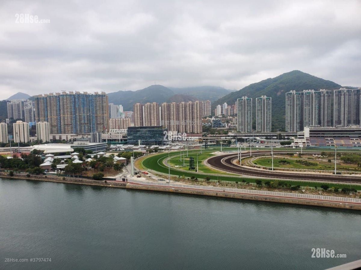 Pictorial Garden Sell 3 Bedrooms , 2 Bathrooms 760 ft²