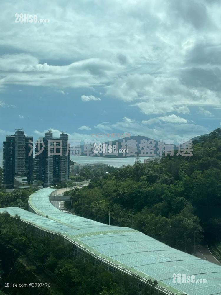 Monte Vista Sell 3 Bedrooms , 2 Bathrooms 816 ft²