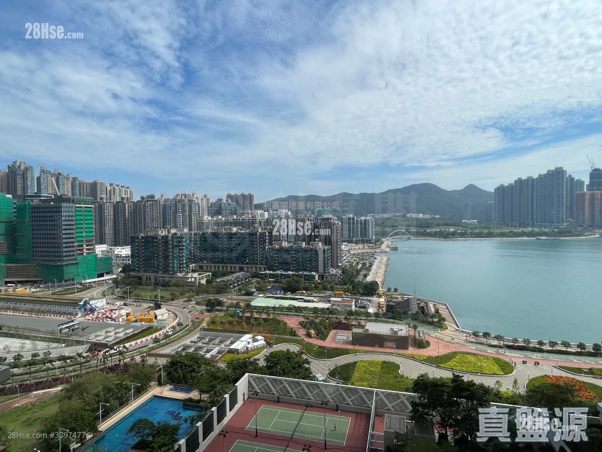 Ocean Shores Rental 2 Bedrooms , 1 Bathroom 511 ft²