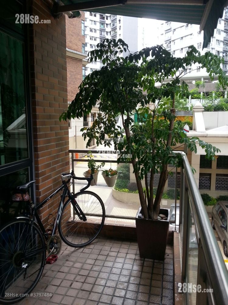 Dragon View Sell 2 Bedrooms , 1 Bathroom 564 ft²