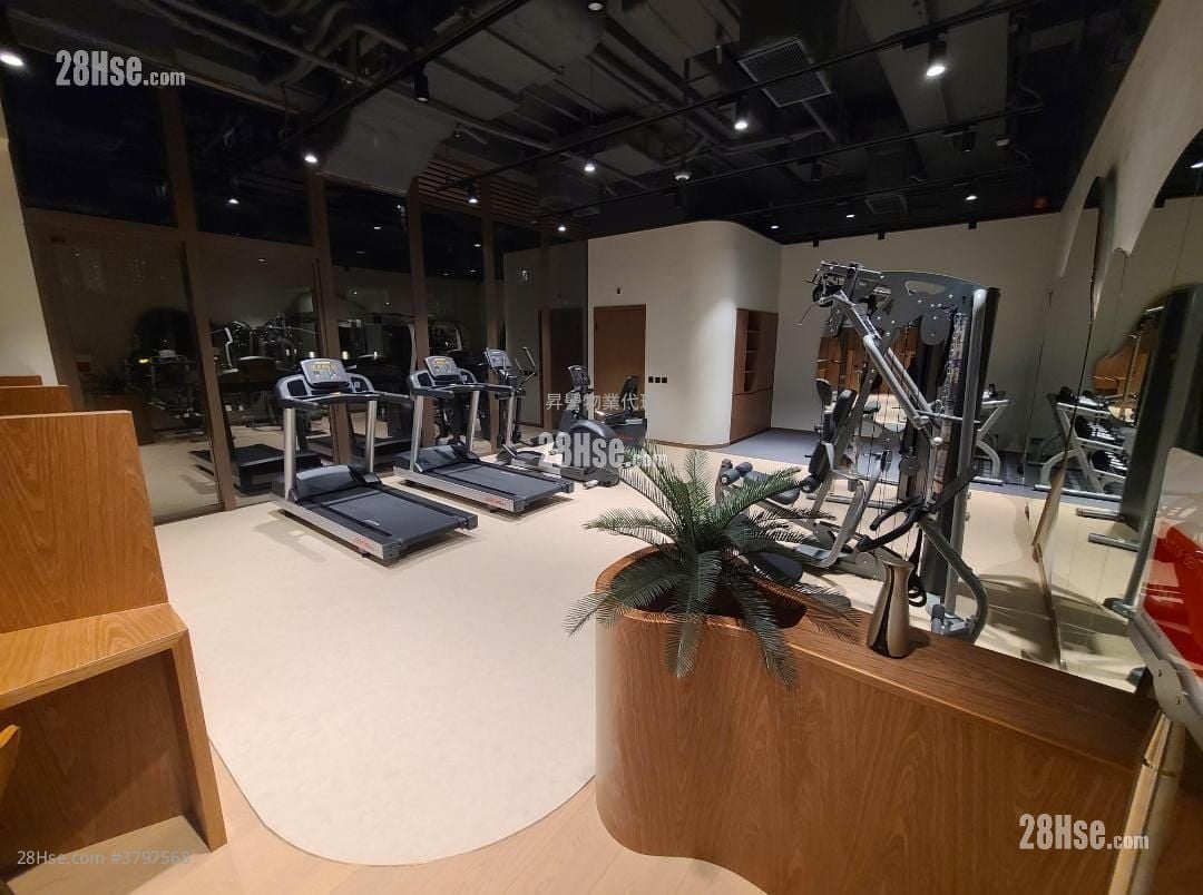 Mangrove Sell Studio , 1 Bathroom 186 ft²