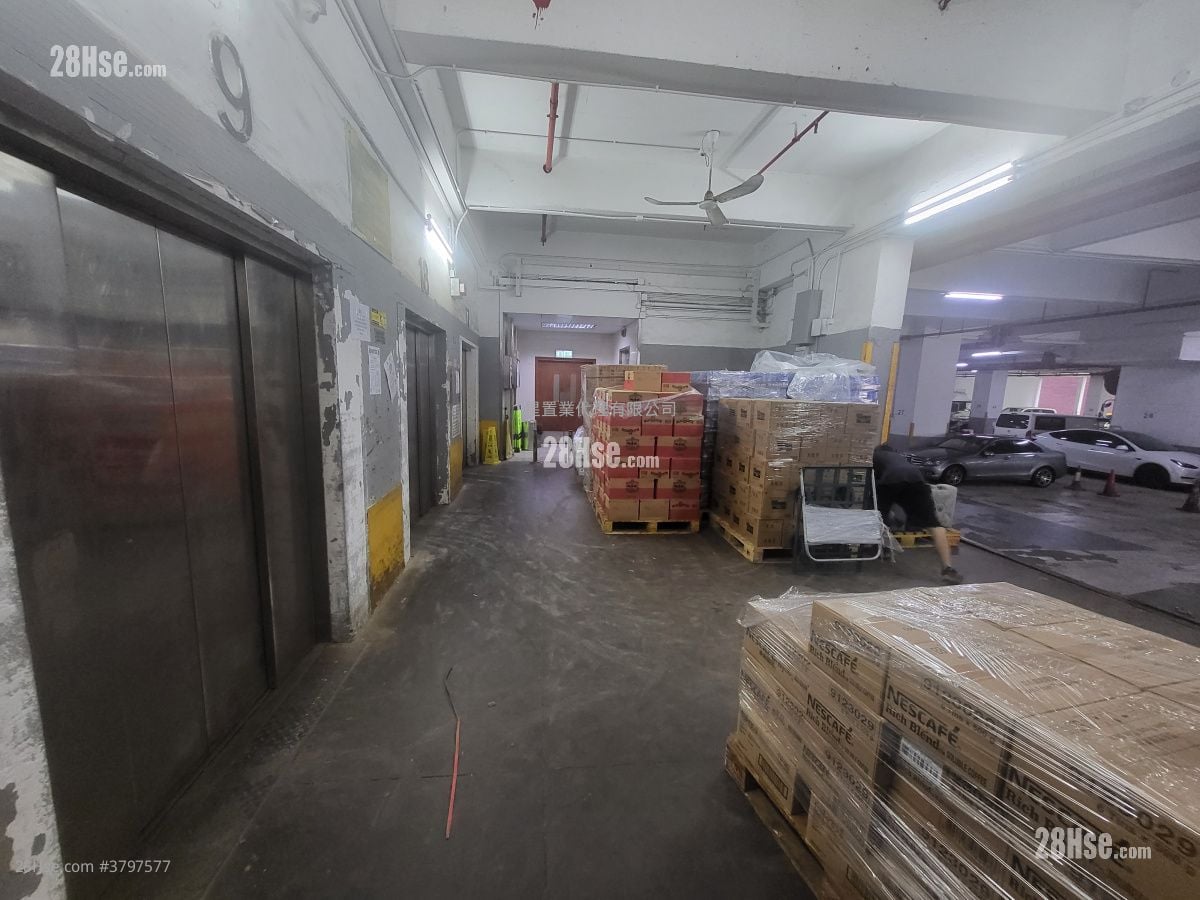 金熊工业中心 租盘 1 厕所 3,288 平方尺