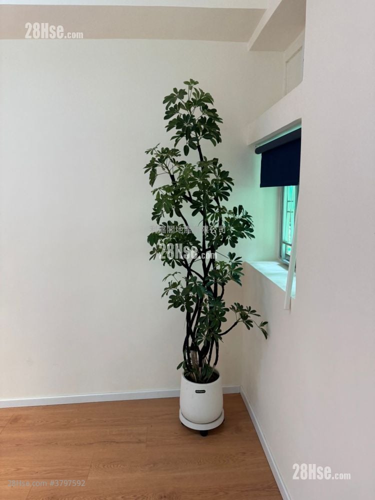 乐声大厦 售盘 1 房 390 平方尺