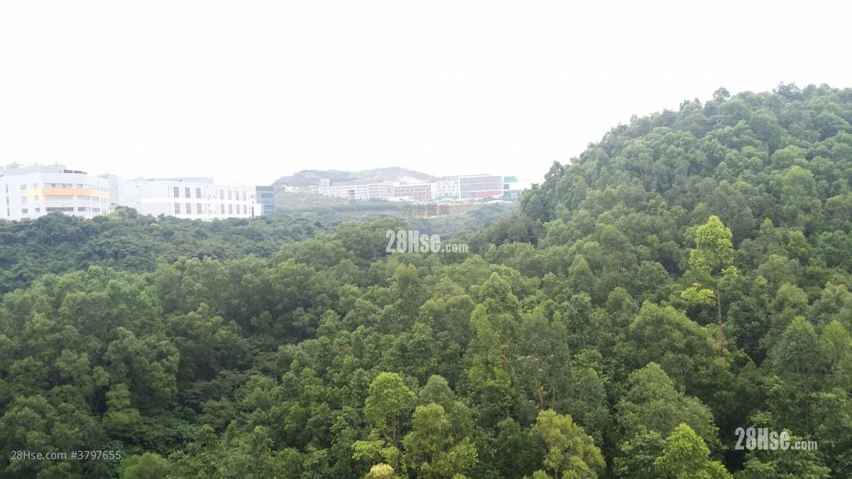 The Beaumount Sell 2 Bedrooms , 1 Bathroom 498 ft²