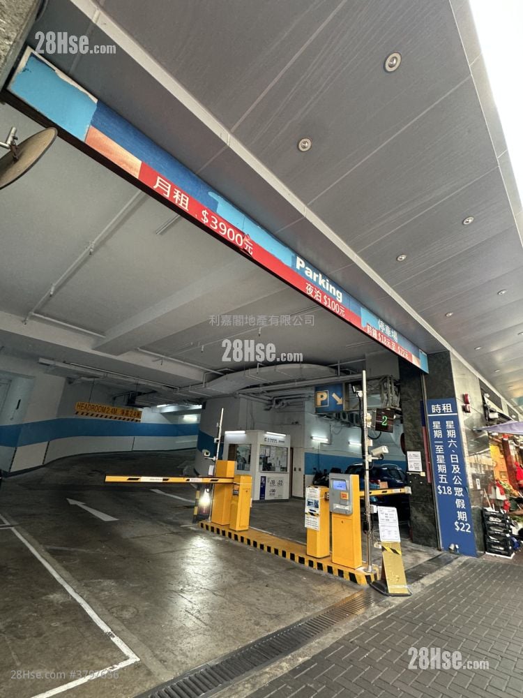 Peaceful Mansion Rental