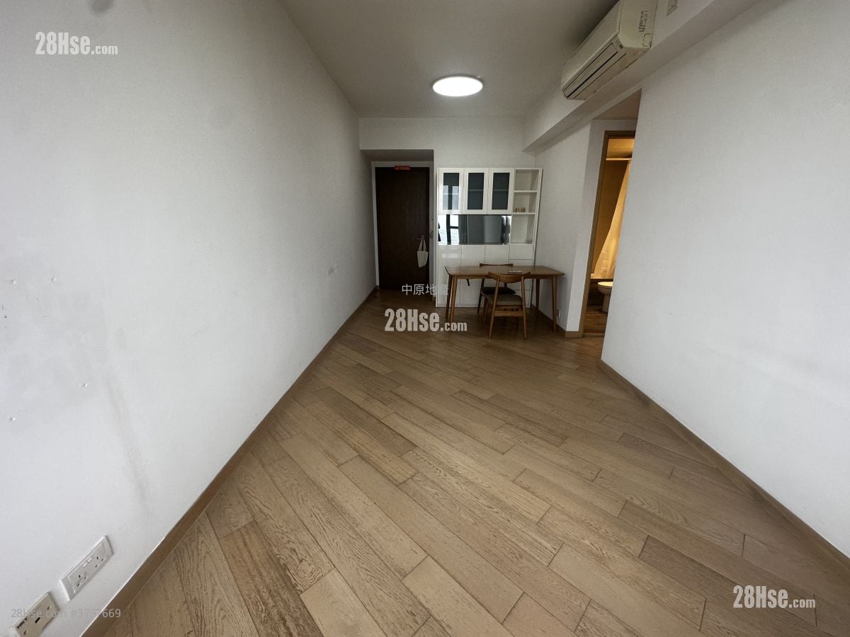 The Visionary Rental 1 Bedroom , 1 Bathroom 484 ft²