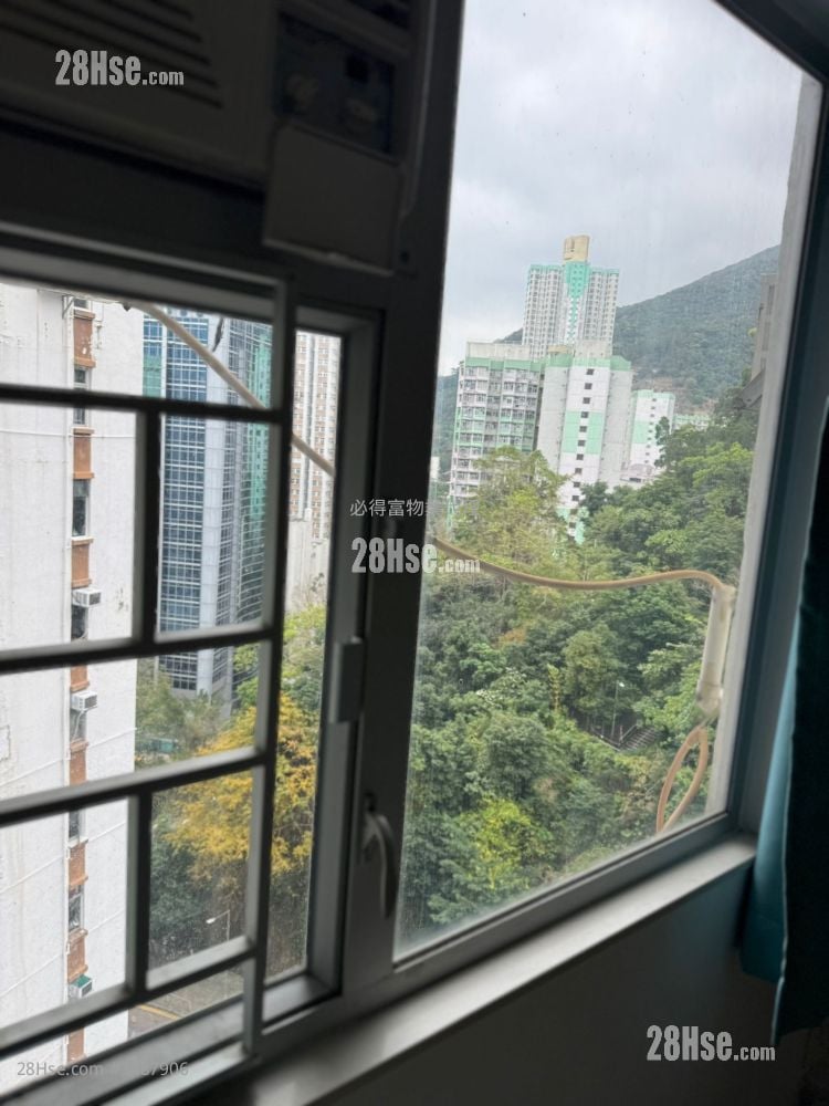 碧丽阁 租盘 1 房 , 1 浴室 288 平方尺