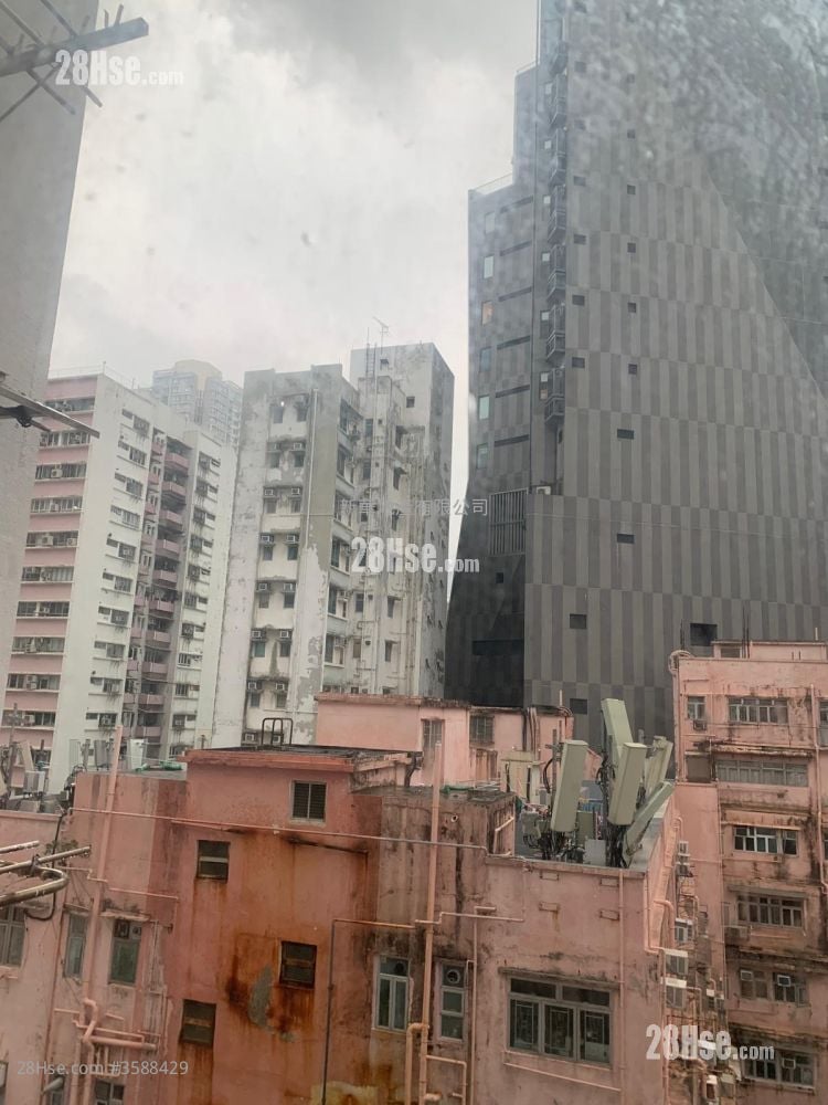 新威园 售盘 3 房 , 1 浴室 580 平方尺