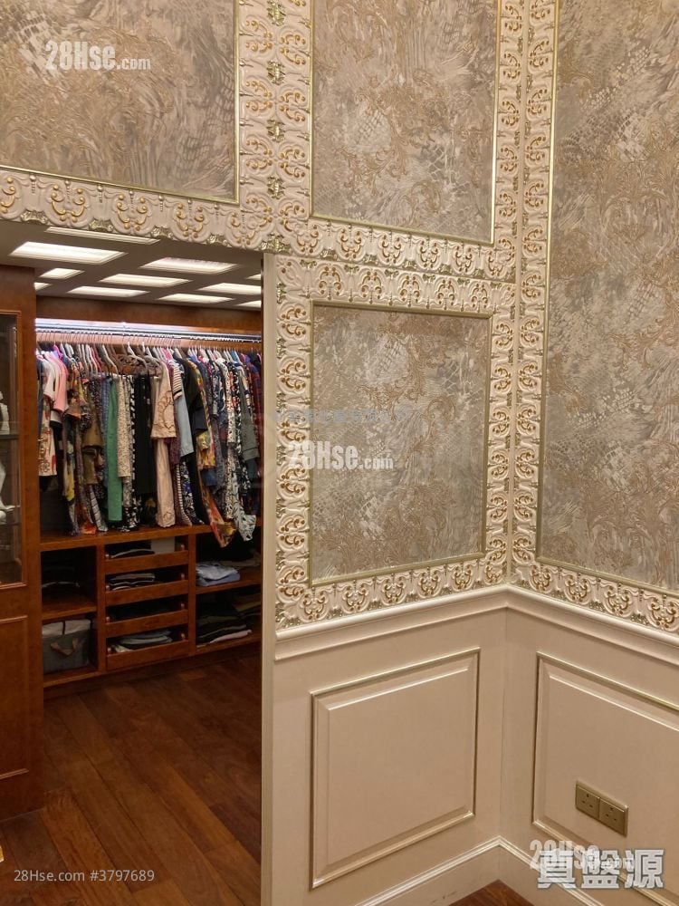 欢迎参观找我，61618223，Ivan