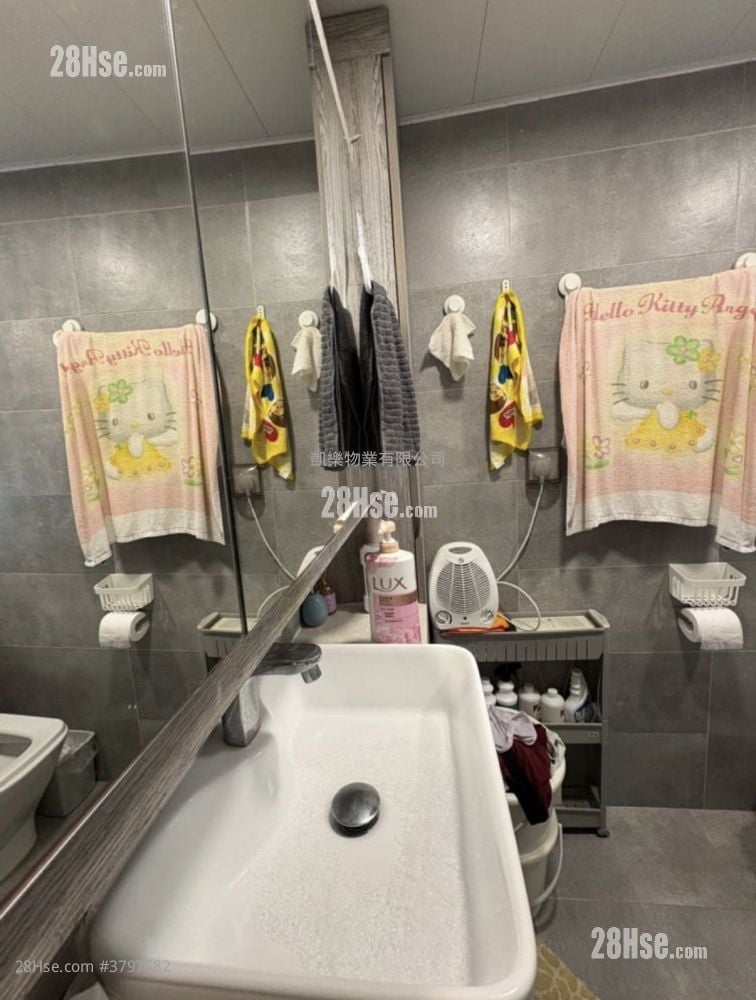 凯乐苑 售盘 480 平方尺