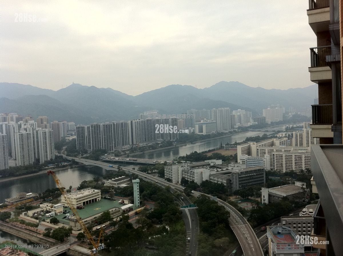 The Palazzo Sell 4 Bedrooms , 3 Bathrooms 912 ft²