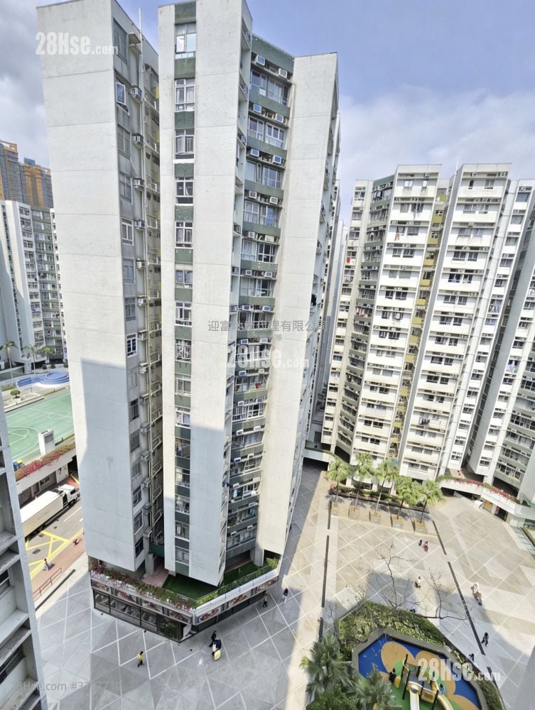 黄埔花园 售盘 2 房 , 1 浴室 389 平方尺