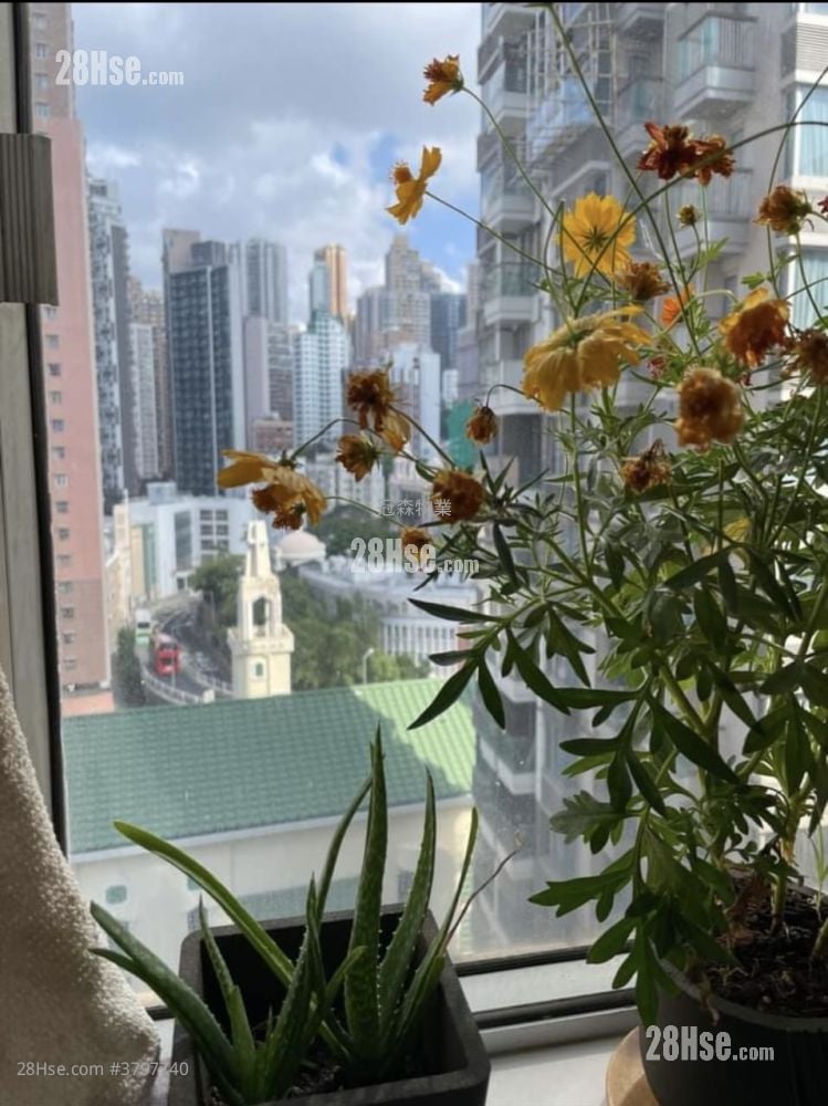 加晖阁 售盘 1 房 , 1 浴室 323 平方尺