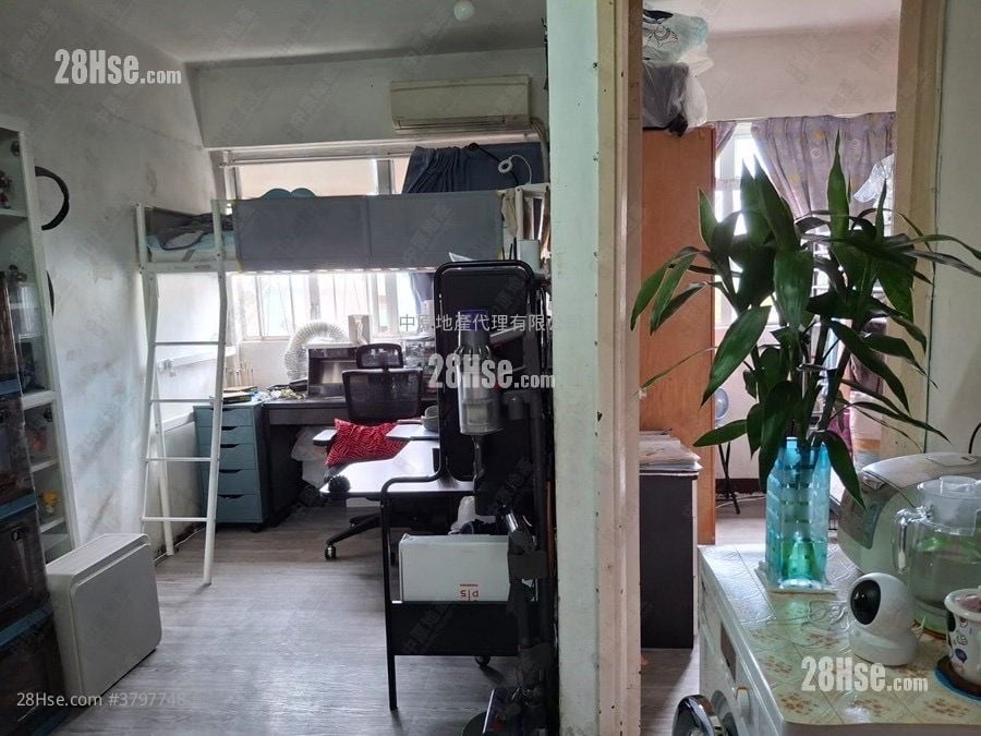 仁乐大厦 售盘 1 房 290 平方尺