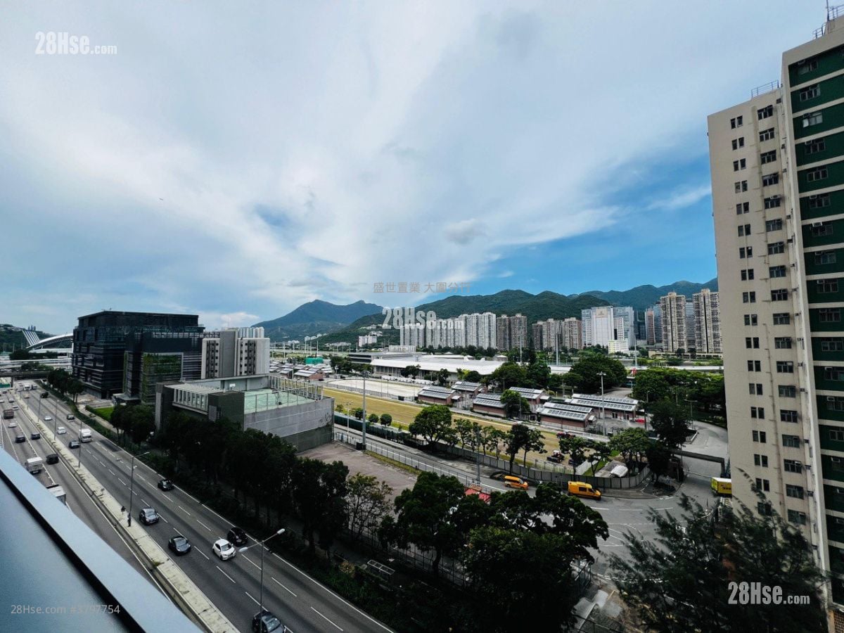 The Palazzo Sell 3 Bedrooms , 3 Bathrooms 912 ft²