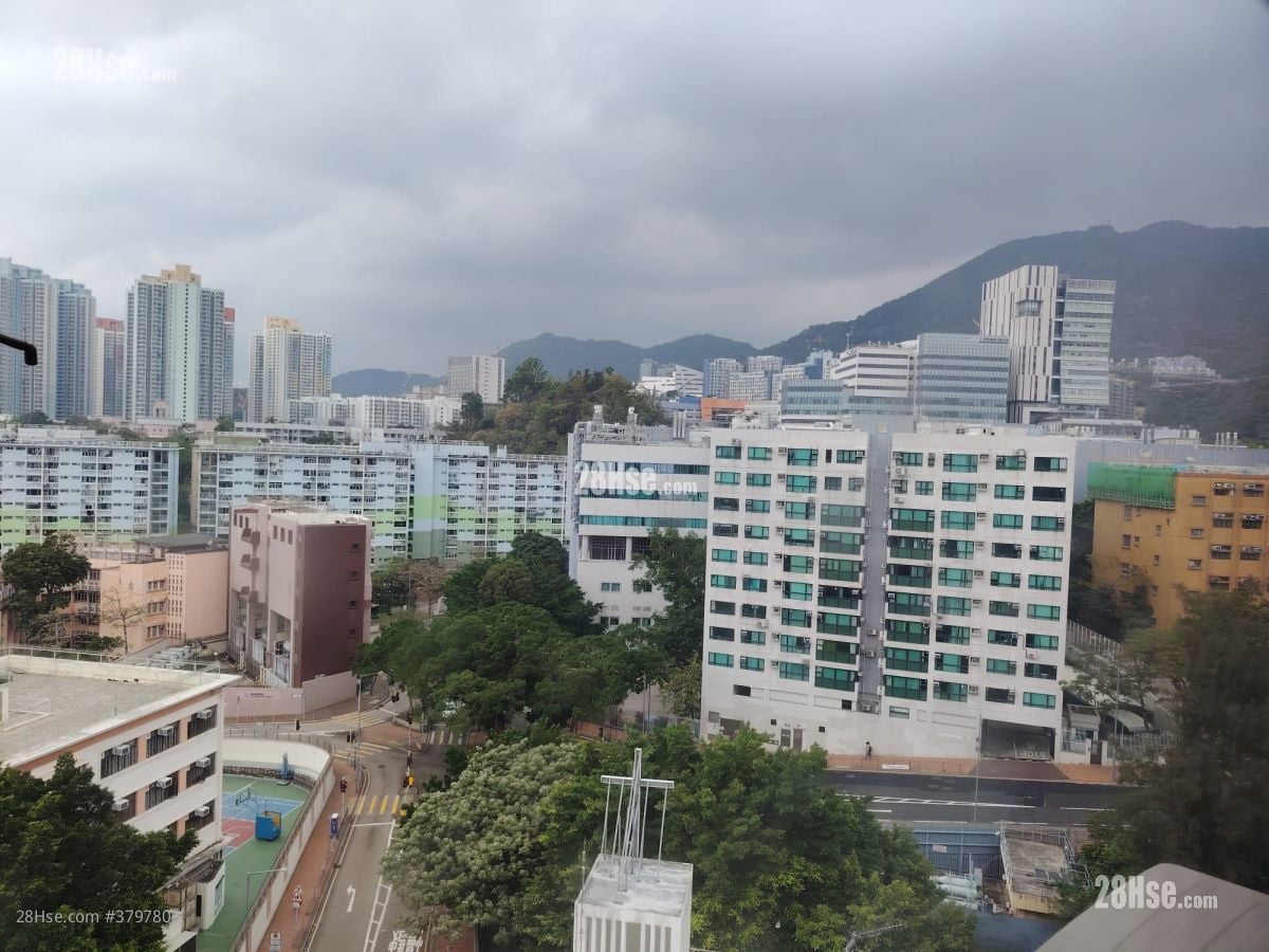 又一居 售盘 3 房 561 平方尺