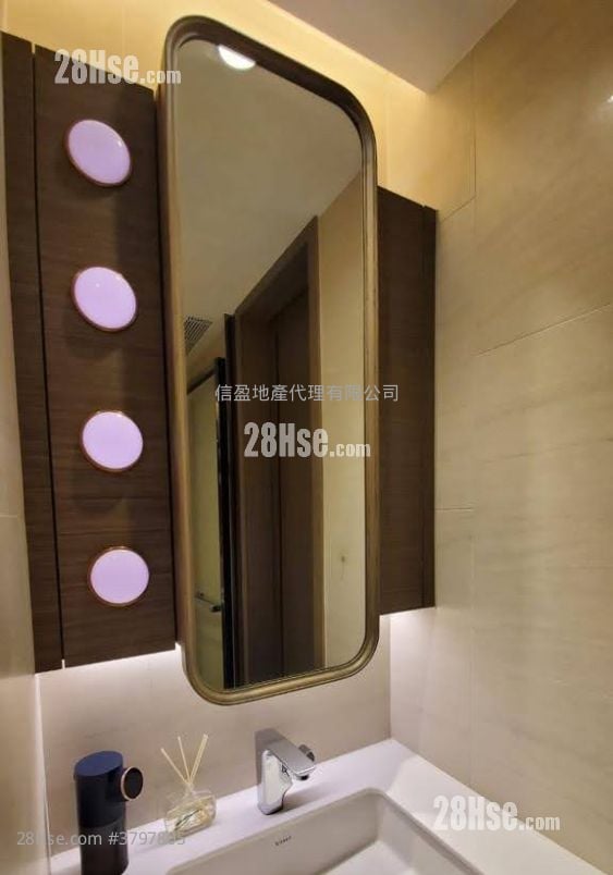 Novum Point Rental 1 Bedroom , 1 Bathroom 263 ft²