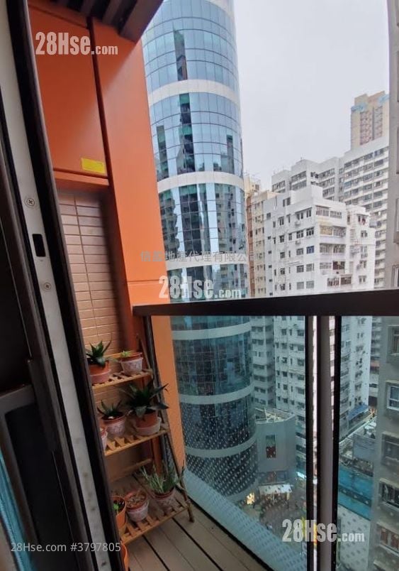 Novum Point Rental 1 Bedroom , 1 Bathroom 263 ft²