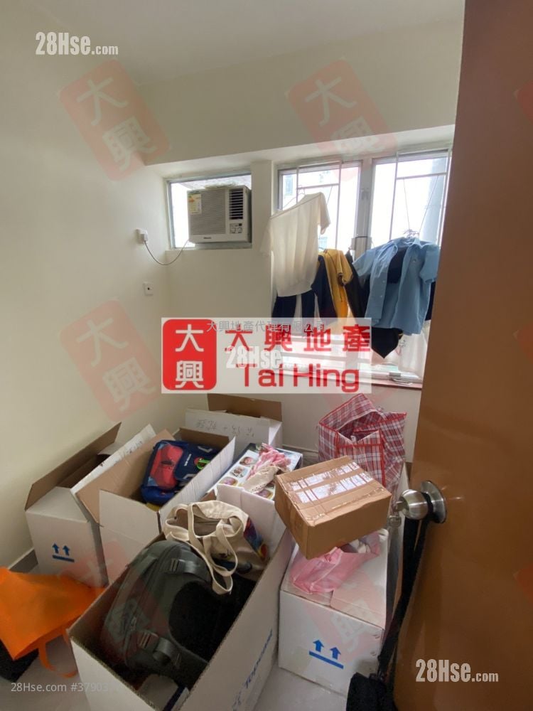 单幢楼房 售盘 3 房 , 1 浴室 455 平方尺