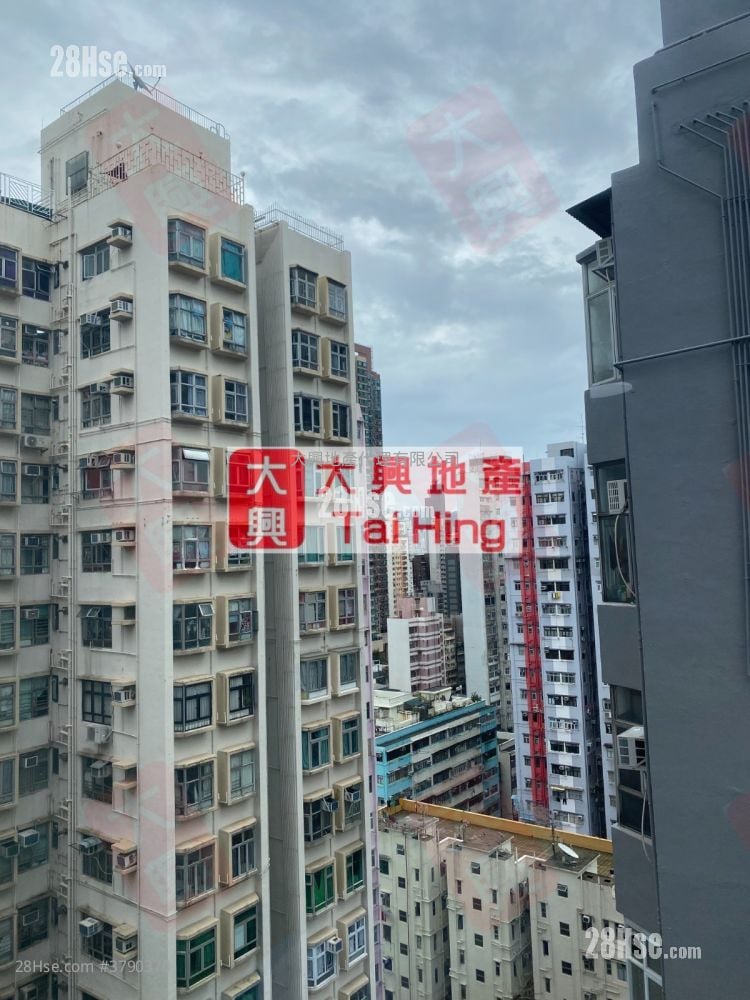 单幢楼房 售盘 3 房 , 1 浴室 455 平方尺