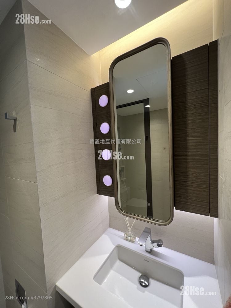 Novum Point Rental 1 Bedroom , 1 Bathroom 263 ft²