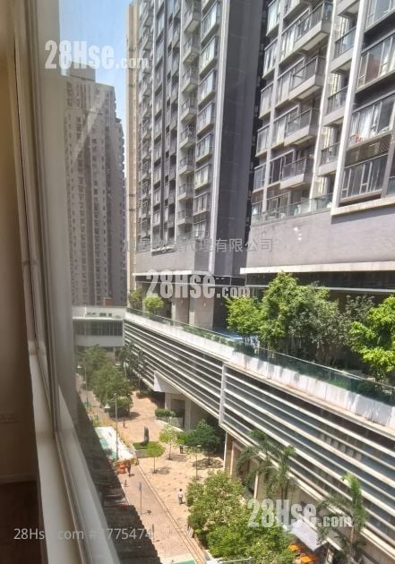 唐楼 租盘 1 房 , 1 浴室 339 平方尺