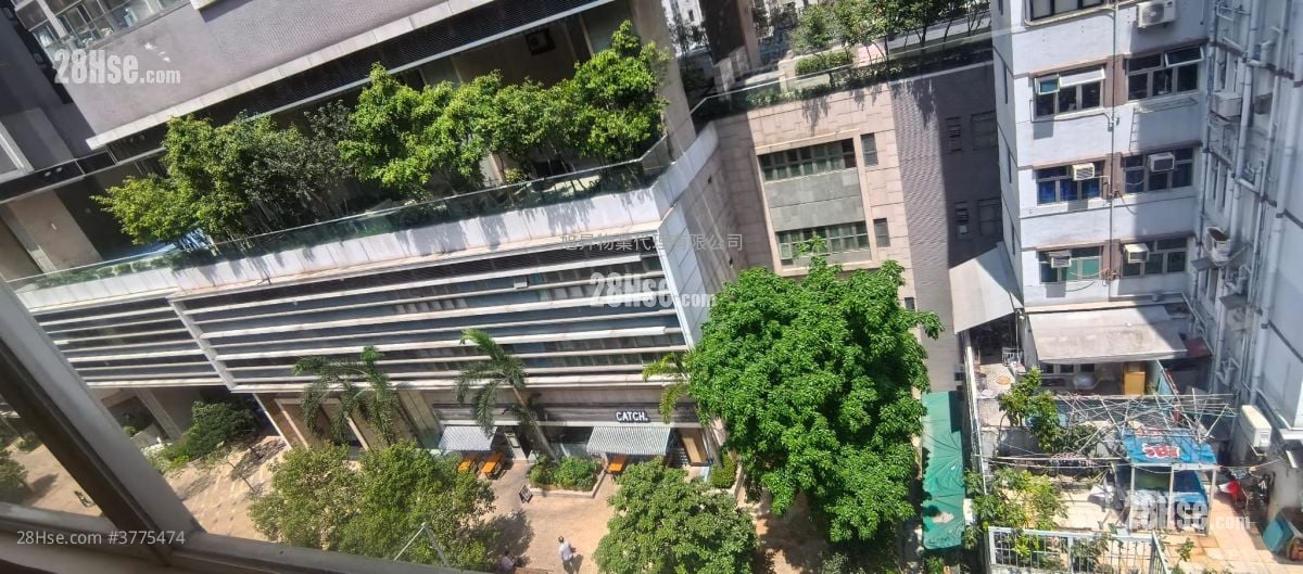 唐楼 租盘 1 房 , 1 浴室 339 平方尺