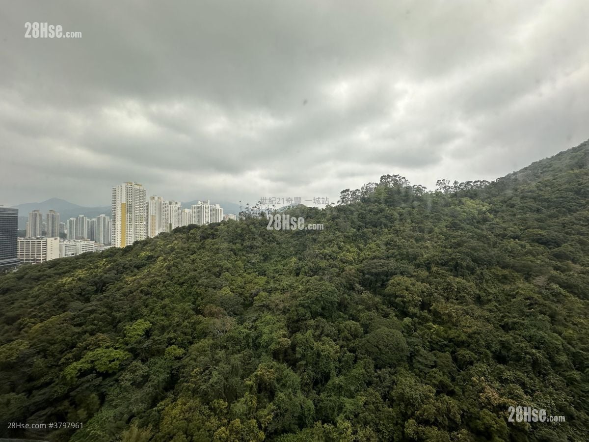 Castello Sell 2 Bedrooms , 1 Bathroom 547 ft²