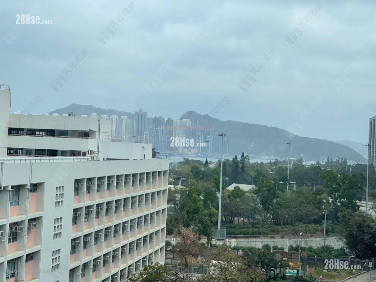 Finnie Rental 364 ft²