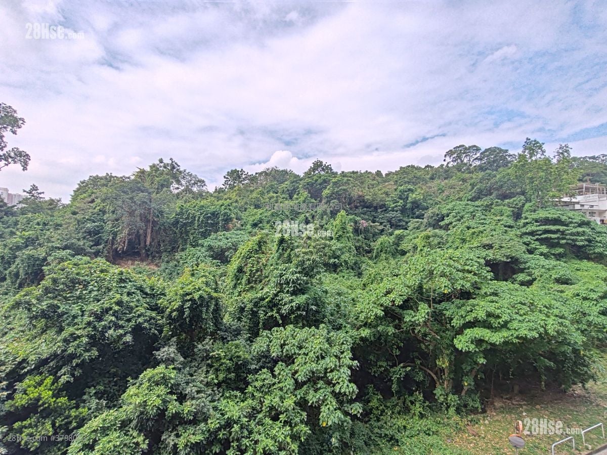 The Great Hill Sell 4 Bedrooms , 3 Bathrooms 2,580 ft²