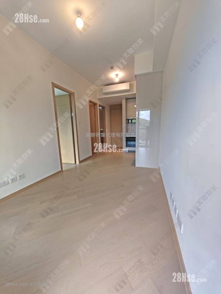 Grand Mayfair  Rental 1 Bedroom , 1 Bathroom 384 ft²