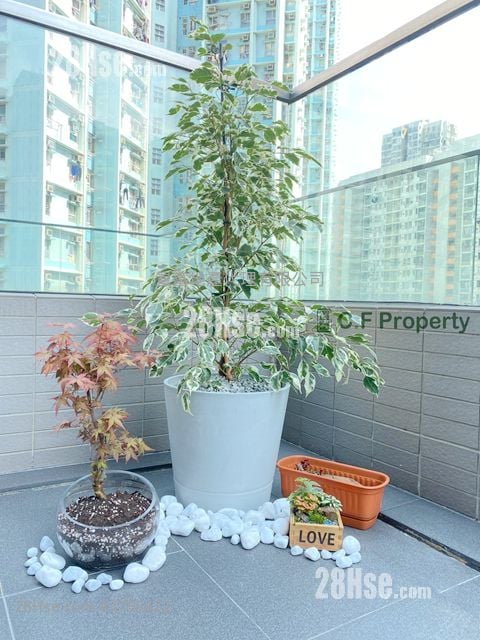 丰寓 售盘 1 房 , 1 浴室 251 平方尺