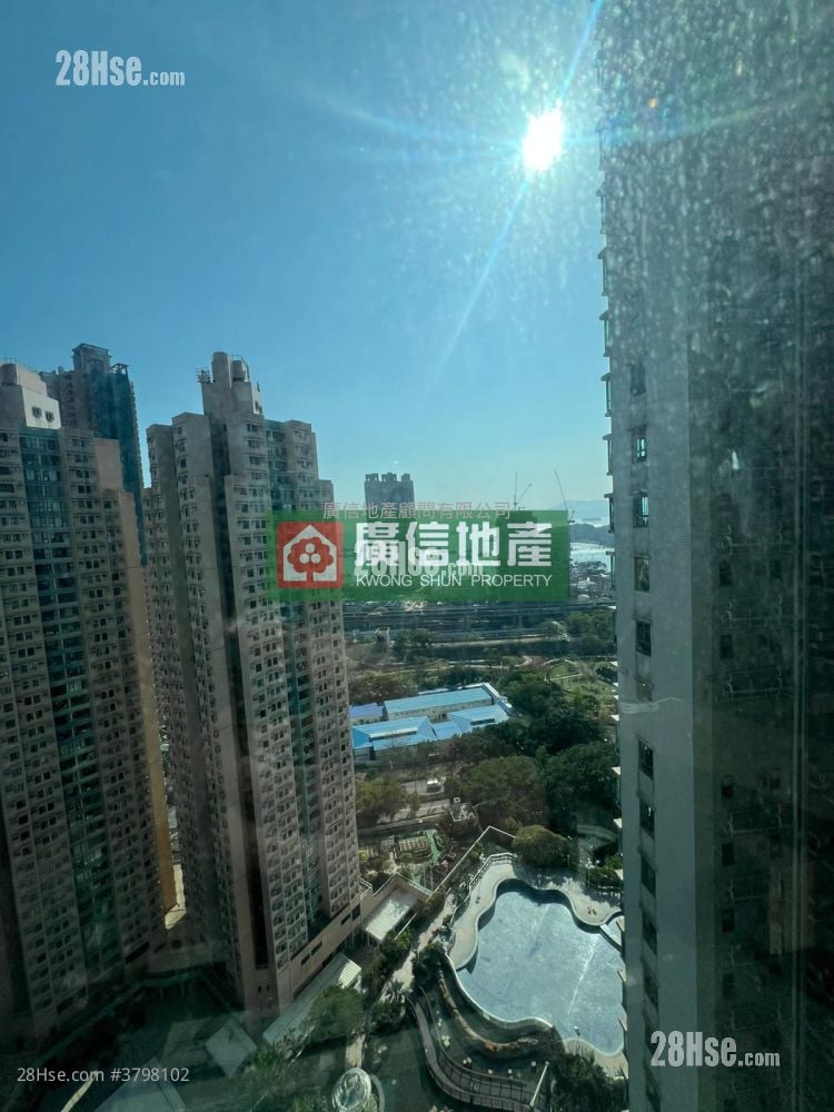 港湾豪庭 售盘 1 房 , 1 浴室 344 平方尺