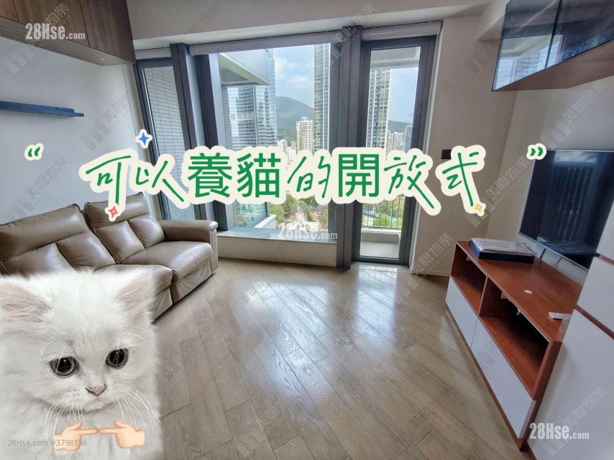 柏傲湾 租盘 开放式间隔 , 1 浴室 306 平方尺