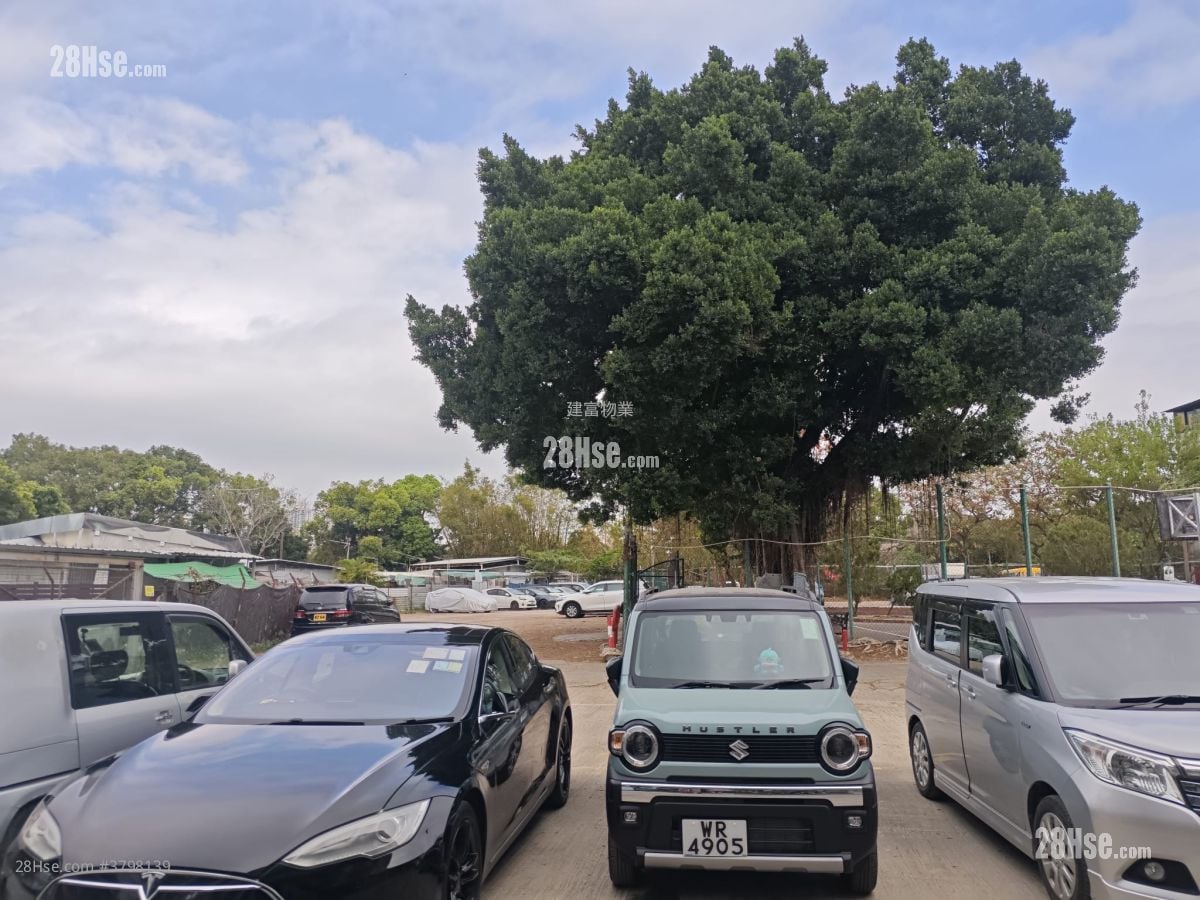 振兴新村 售盘 1 浴室 350 平方尺