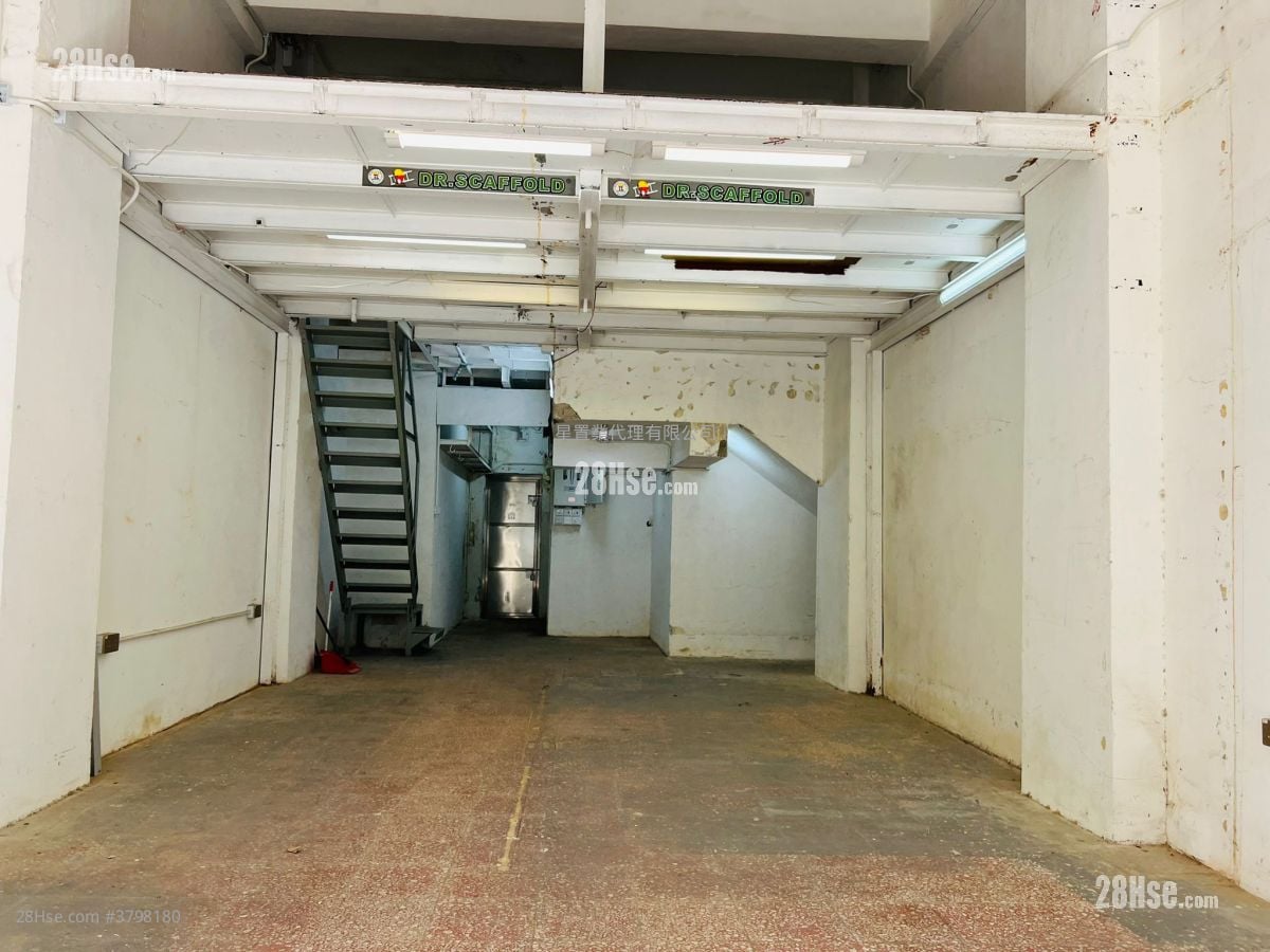 广东道952号 租盘