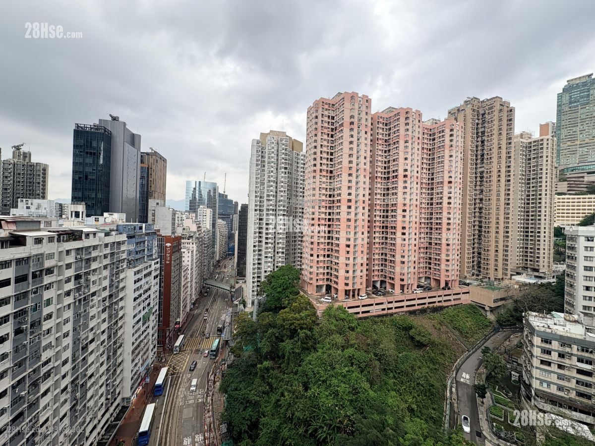 101 Kings Road 租盘 1 房 , 1 浴室 310 平方尺